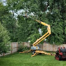 Best Storm Damage Tree Cleanup  in Meiners Oaks, CA