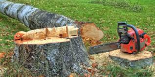 Best Firewood Processing and Delivery  in Meiners Oaks, CA