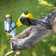 Best Lawn Pest Prevention  in Meiners Oaks, CA